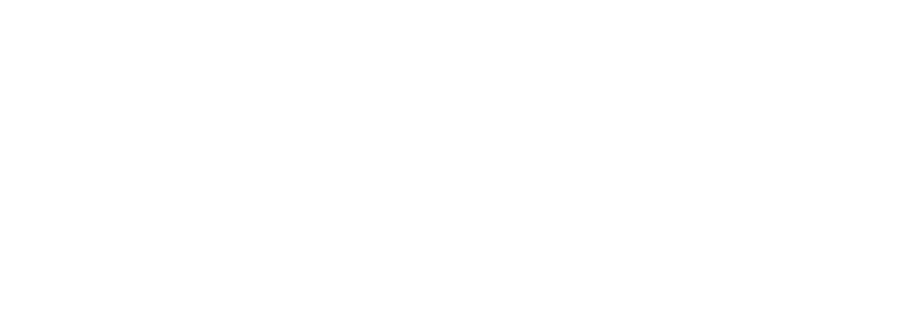 Partner 4